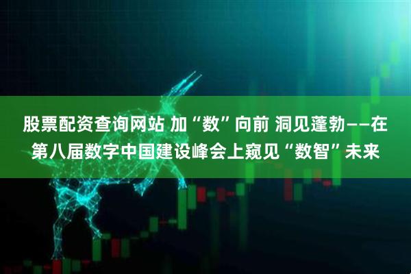 股票配资查询网站 加“数”向前 洞见蓬勃——在第八届数字中国建设峰会上窥见“数智”未来